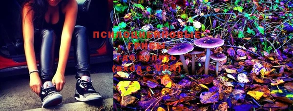MESCALINE Алексеевка